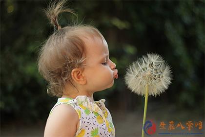 生辰八字网