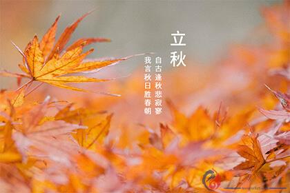 生辰八字网
