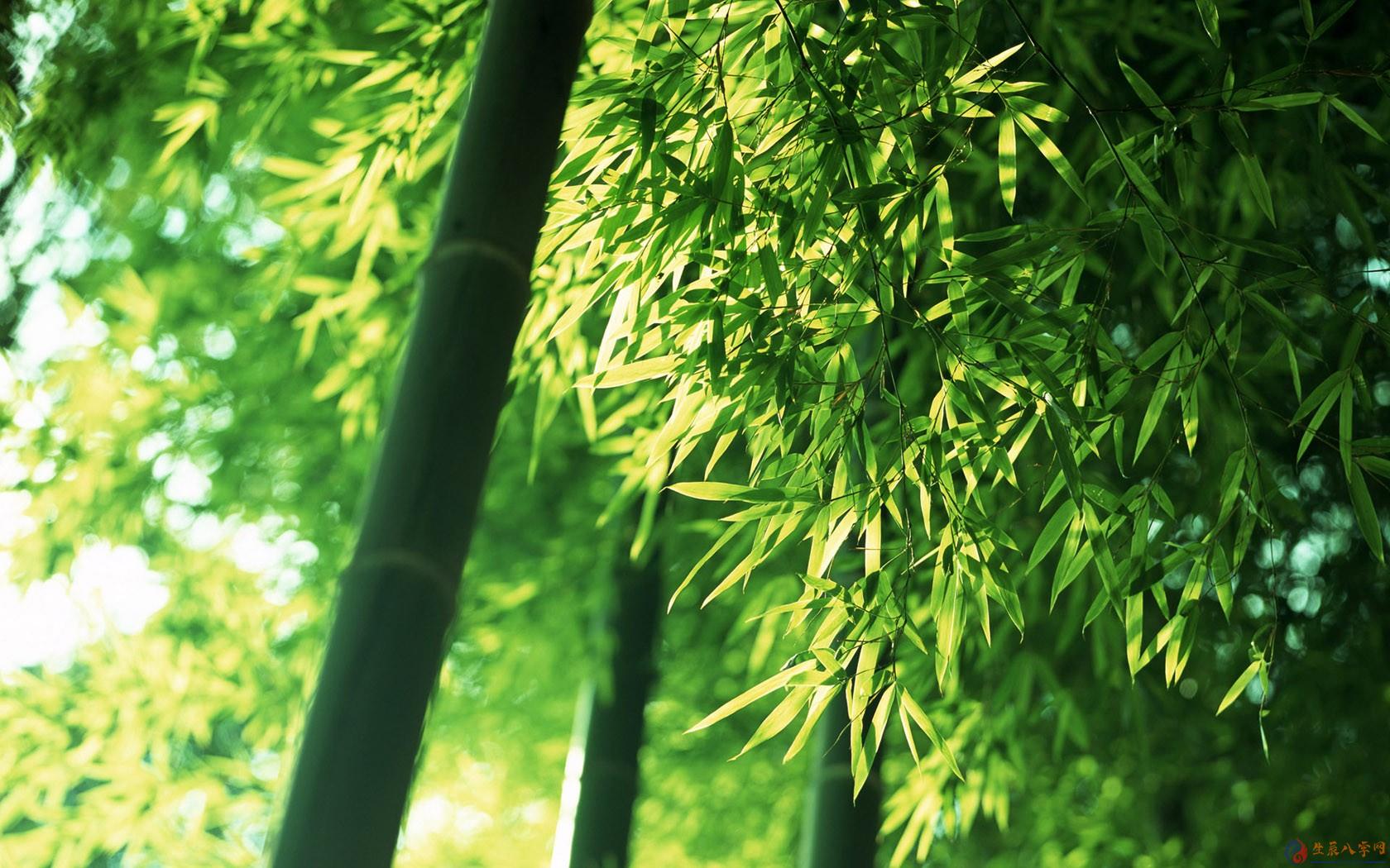 生辰八字网